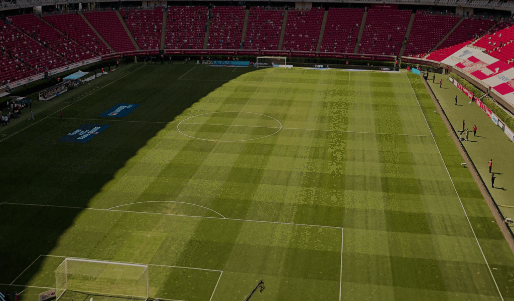 Case Study: International transfers